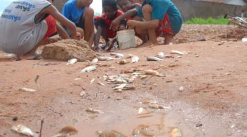 ELEIÇÕES 2022: “Lambaris de Enxurrada” começam a dar as caras em Além Paraíba